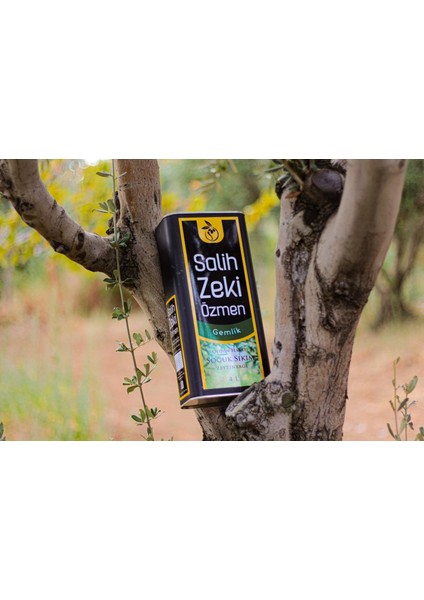 Gemlik Soğuk Sıkım Erken Hasat Zeytinyağı 5 lt Teneke