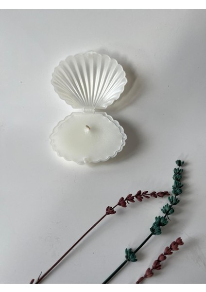 Istiridye Mum. Düğün, Kına, Nişan, Söz, Nikah Hediyelik Kutu fiyatları
