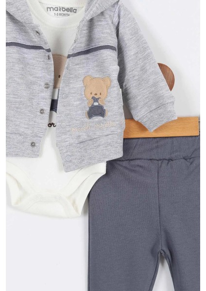 Ayı Desenli Pamuklu Çıt Kapşonlu Zıbınlı Uzun Kollu Erkek Bebek 3'lü Takım Alt Üst Erkek Bebek Takım fırsatları