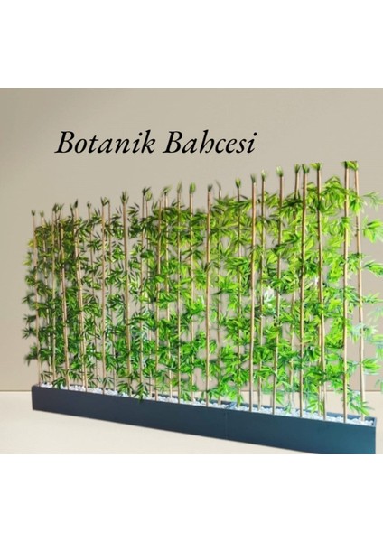 Lüks Ferahlık - Yapay Bambu Ağacı 2 Metre Boyunda Set 2 Adet Antrasit Gri Saksıda