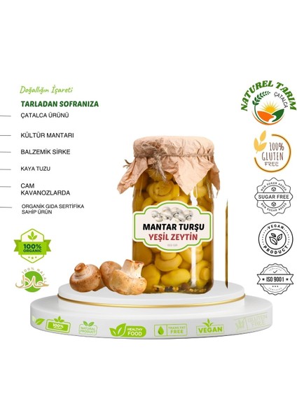 Mantar Konserve