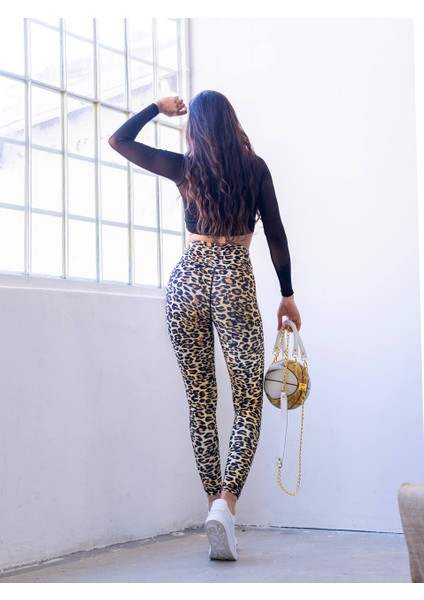 Leopar Desen Spor Tayt fiyatları