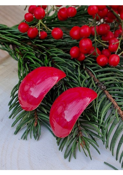 Kırmızı Renk Sedef Kaplama Bombeli Küpe