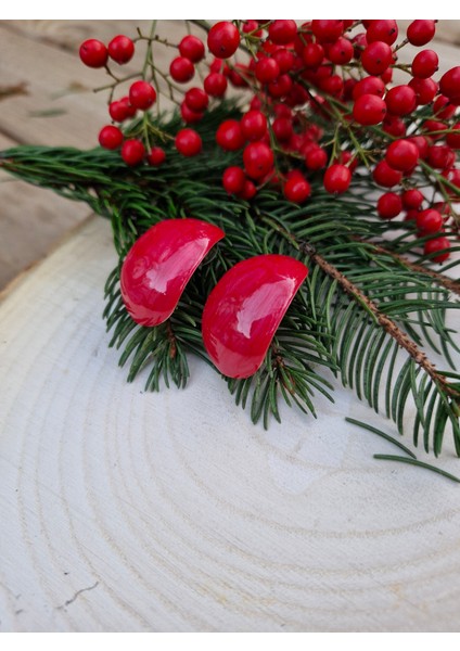 Kırmızı Renk Sedef Kaplama Bombeli Küpe fiyatları