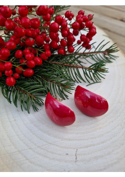 Kırmızı Renk Sedef Kaplama Bombeli Küpe fırsatları