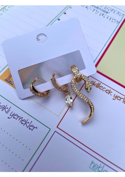 3'lü Zirkon Taşlı Damla, Halka ve Yılan Detaylı Çelik Küpe Seti