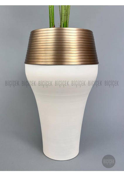 220 cm Starliçe Bitkisi Cleopatra Saksıda Krem Gold modelleri