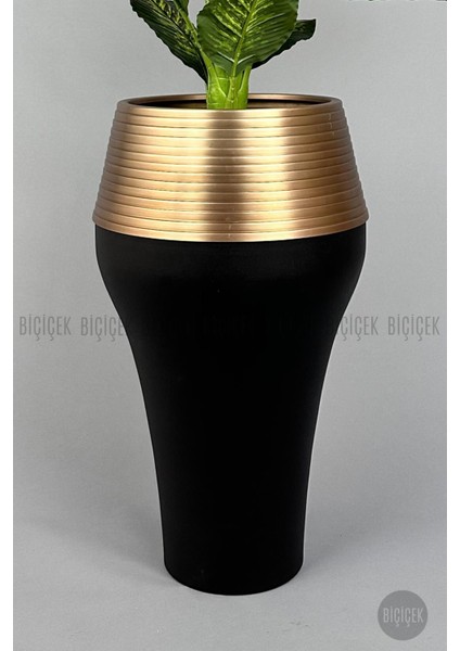 190 cm Difenbahya Bitkisi Cleopatra Saksıda Siyah Gold