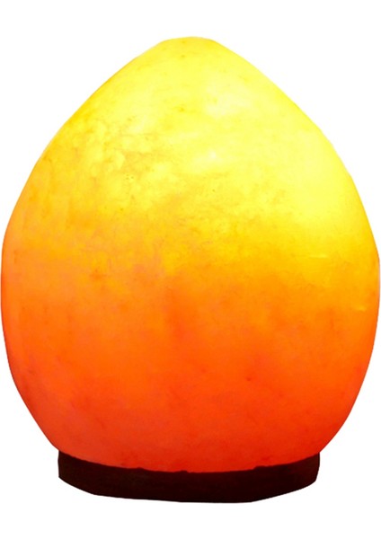 Gül Tuz Lambası Heykel Şekil Işıkları Himalayalar Cevheri Yatak Başucu Süsleri Küçük Gece Ev Dekorasyonu Ab Fişi (Yurt Dışından)