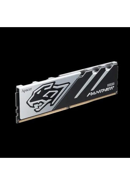 Panther 16GB ( 1X16GB) Ddr5 6000MHZ Soğutuculu CL40 Gaming Pc Ram AH5U16G60C5127BAA-1