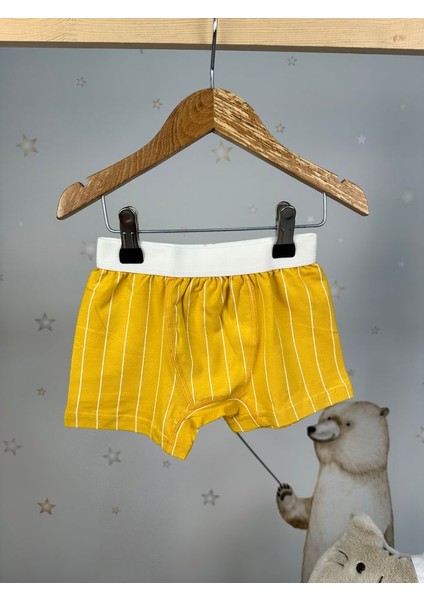 Sarı Çizgili Boxer