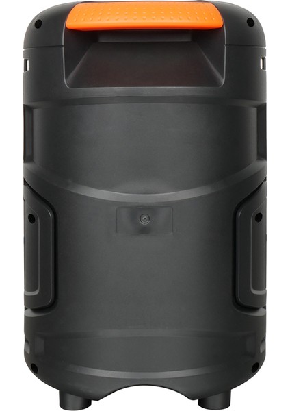 Kablolu Mikrofonlu Fm Rgb Tws Çift 6.5inç Karaoke Bluetooth Taşınabilir Hoparlör GD-692 modelleri