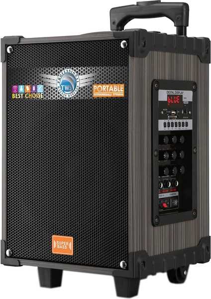 Kablosuz Mikrofonlu Fm Rgb Tws Çift 8inç Karaoke Bluetooth Bavul Taşınabilir Hoparlör LT-908