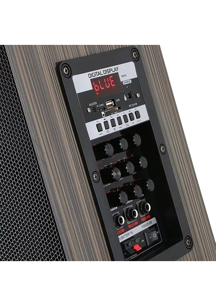 Kablosuz Mikrofonlu Fm Rgb Tws Çift 8inç Karaoke Bluetooth Bavul Taşınabilir Hoparlör LT-908
