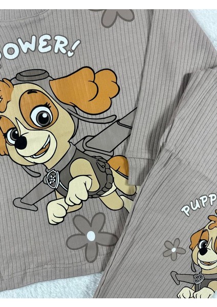 Paw Patrol Vizon Kız Çocuk Pijama Takım fiyatları