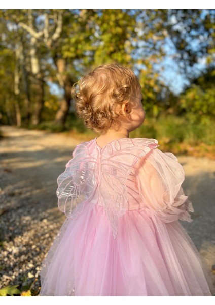 ALYRA Kız Çocuk Pembe Elbise Kız Bebek Uzun Kollu Kanatlı Doğum Günü Parti Düğün Özel Gün Tüllü Tütü Astarlı Prenses Elbise Çocuk Giyim ALY0330