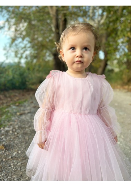 ALYRA Kız Çocuk Pembe Elbise Kız Bebek Uzun Kollu Kanatlı Doğum Günü Parti Düğün Özel Gün Tüllü Tütü Astarlı Prenses Elbise Çocuk Giyim ALY0330