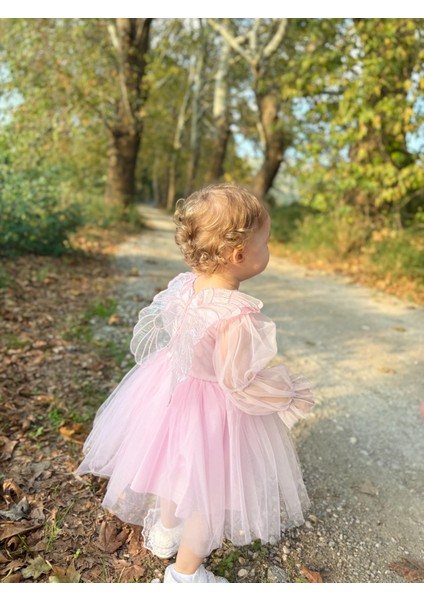 ALYRA Kız Çocuk Pembe Elbise Kız Bebek Uzun Kollu Kanatlı Doğum Günü Parti Düğün Özel Gün Tüllü Tütü Astarlı Prenses Elbise Çocuk Giyim ALY0330