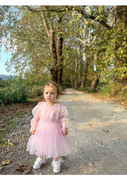 ALYRA Kız Çocuk Pembe Elbise Kız Bebek Uzun Kollu Kanatlı Doğum Günü Parti Düğün Özel Gün Tüllü Tütü Astarlı Prenses Elbise Çocuk Giyim ALY0330 fırsatları