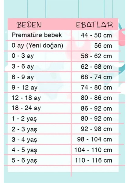 Renkli Dinazor Desenli 2'li Erkek Bebek Takım