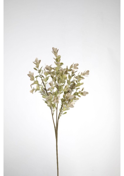 Dal Çiçek 62 cm 0106314