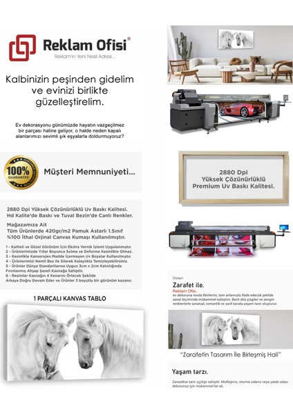 Beyaz Atlar, Sevgi Modern Premium Kanvas Tablo