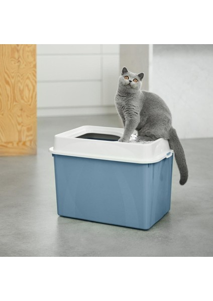 Eco Berty Üstten Girişli Kedi Tuvaleti - Çevre Dostu ve Kolay Temizlenebilir
