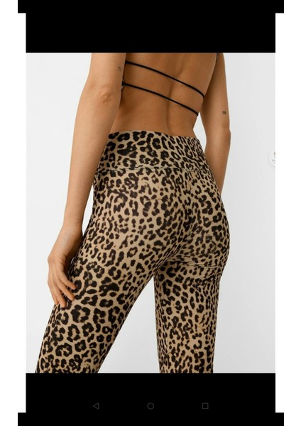 Allbucks Bershka, Leopar Desenli Esnek Flare Pantolon ABBRS0997