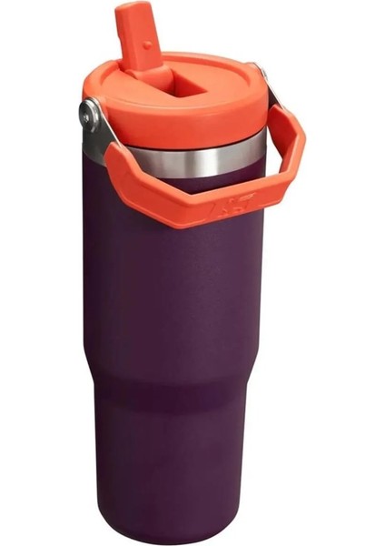 The Iceflow Flip Straw Pipetli Termos 0.89 Mor