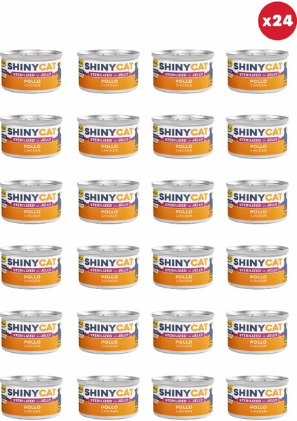 Shinycat Jelly (Jöle Içinde) Tavuklu Kısır Kedi Konservesi 70gr x 24 Adet