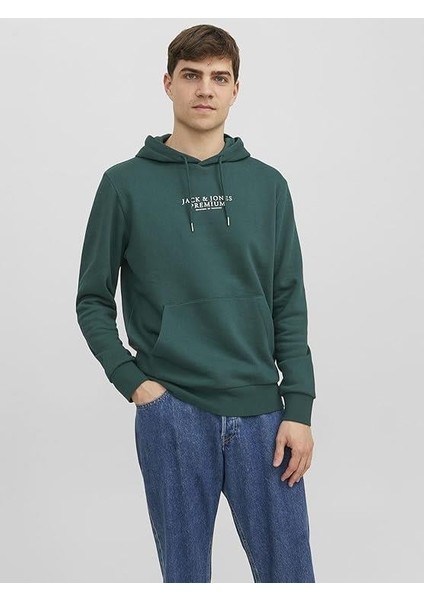 Jack&jones Jprbluarchie Sweat Hood Noos