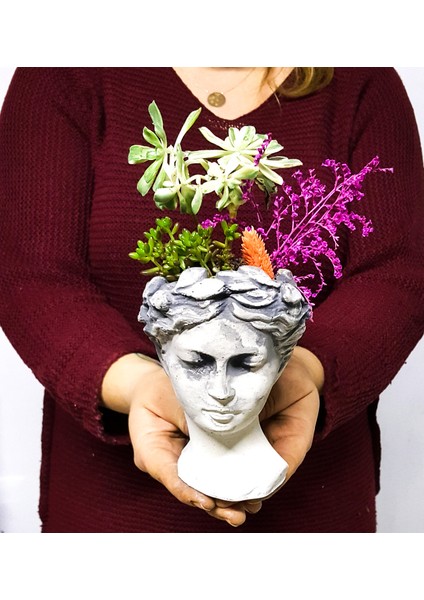 Greek Lady Antique Sukulent Bonsai & Helen Biblo Beton Saksıda Canlı Bitki Bakımı Kolay Çiçek