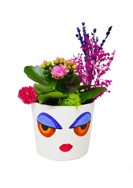 Dolly Kalanchoe & Yüz Figürlü Seramik Beyaz Saksıda Kalanşo Canlı Bitki Hediye Çiçek Tasarımı