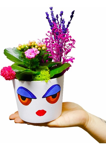 Dolly Kalanchoe & Yüz Figürlü Seramik Beyaz Saksıda Kalanşo Canlı Bitki Hediye Çiçek Tasarımı fiyatları
