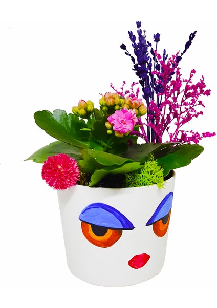 Dolly Kalanchoe & Yüz Figürlü Seramik Beyaz Saksıda Kalanşo Canlı Bitki Hediye Çiçek Tasarımı modelleri