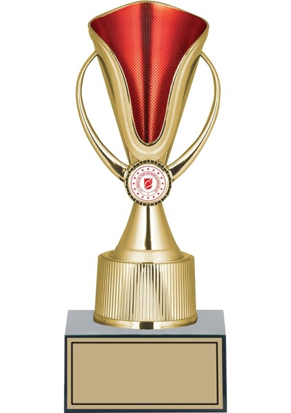 Kişiye Özel Başarı Kupası-Futbol Kupası-Tören Kupası-Okul Kupası-Birincilik Kupası-Şampiyonluk Kupası-Turnuva Kupası 26 cm