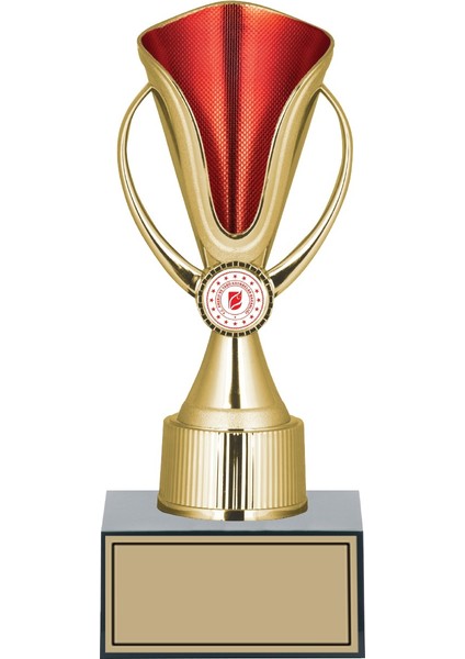 Kişiye Özel Başarı Kupası-Futbol Kupası-Tören Kupası-Okul Kupası-Birincilik Kupası-Şampiyonluk Kupası-Turnuva Kupası 25 cm