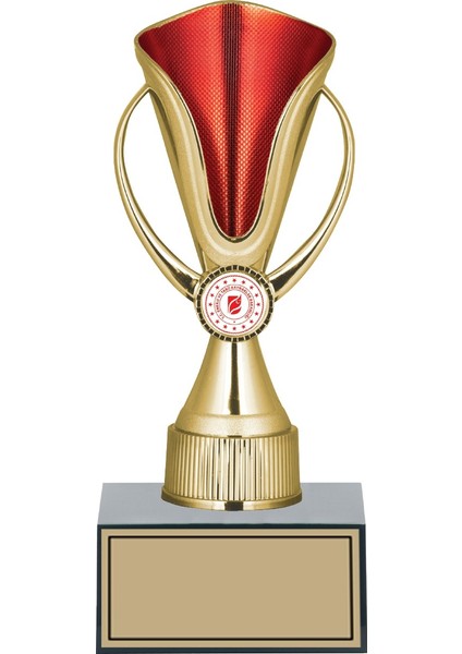 Kişiye Özel Başarı Kupası-Futbol Kupası-Okul Kupası-Birincilik Kupası-Şampiyonluk Kupası-GN180-C-24CM