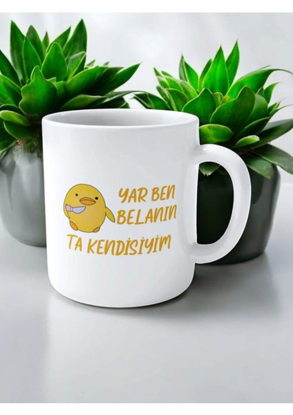 Seramik Baskılı Kupa,yazılı Kupa,resimli Kupa,tasarım Kupa