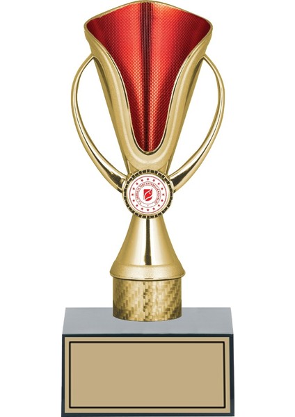 Kişiye Özel Başarı Kupası-Futbol Kupası-Tören Kupası-Okul Kupası-Birincilik Kupası-Şampiyonluk Kupası-Turnuva Kupası 24 cm