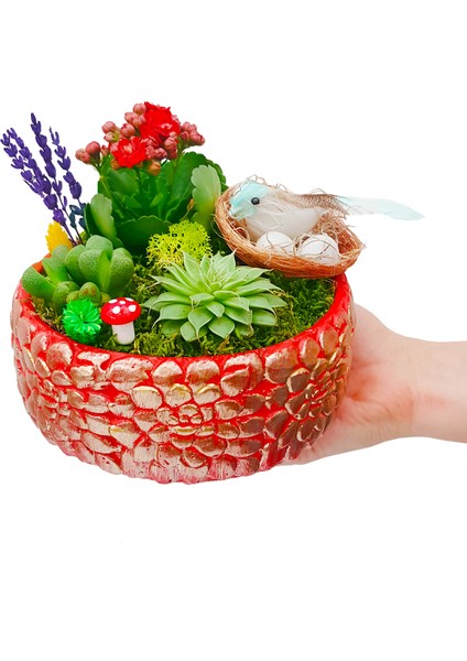 Bird Nest Kalanchoe Sukulent Tasarımı & Beton Kırmızı Saksıda Canlı İç Mekan Bitkileri Çiçek Hediye fiyatları