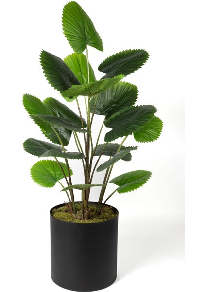 Cırcular Palm 120 cm Yapay Ağaç 0103622