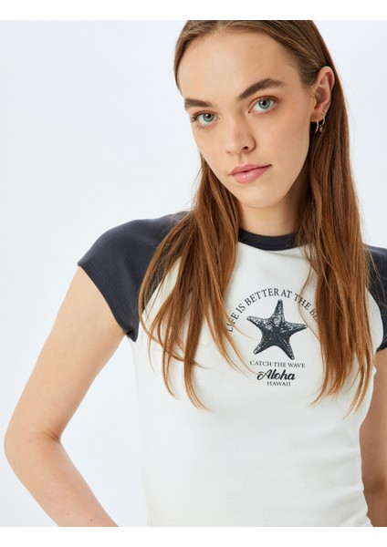 Bisiklet Yaka Renk Bloklu Basic Slim Fit Kısa Kollu Reglan Kol Tişört