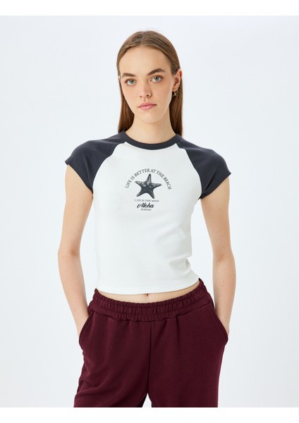 Bisiklet Yaka Renk Bloklu Basic Slim Fit Kısa Kollu Reglan Kol Tişört
