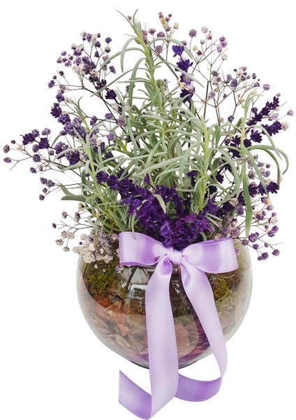 Aqua Lilac Lavanta & Cam Akvaryumda Lavanta Tasarımı Kokulu Hoş Kokulu Canlı Hediye Tasarım