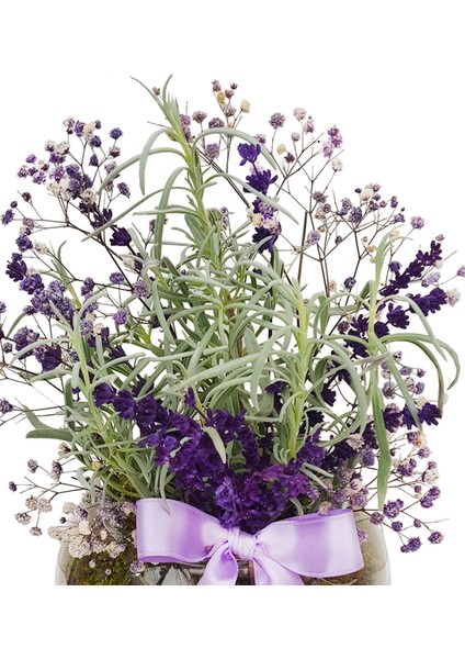 Aqua Lilac Lavanta & Cam Akvaryumda Lavanta Tasarımı Kokulu Hoş Kokulu Canlı Hediye Tasarım