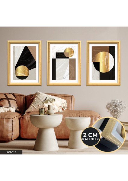 Gold Soyut Desenler 3 Parça Ahşap Çerçeveli Tablo Act