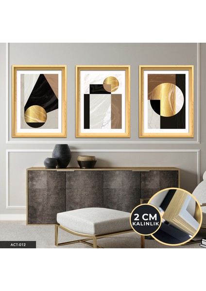 Gold Soyut Desenler 3 Parça Ahşap Çerçeveli Tablo Act