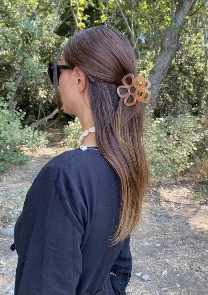 Kahverengi Daisy Toka