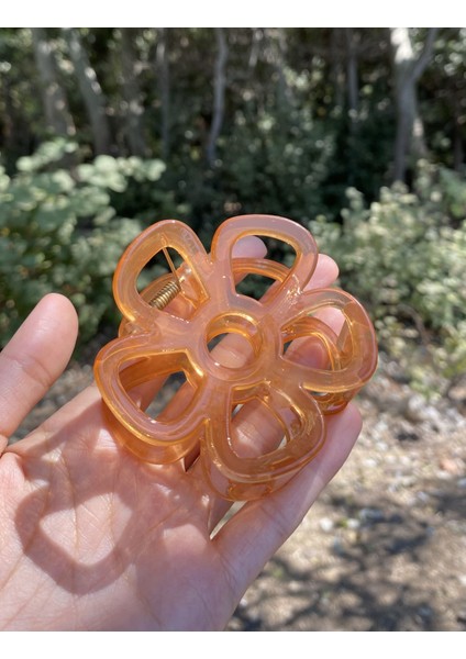 Kahverengi Daisy Toka fiyatları